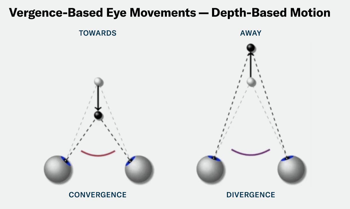 Variance in eye-target synchronization can signal impairment. Image courtesy of NeuroSync.